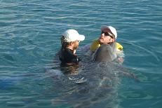 Delfintherapie
