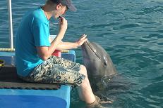 Delfintherapie
