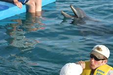 Delfintherapie
